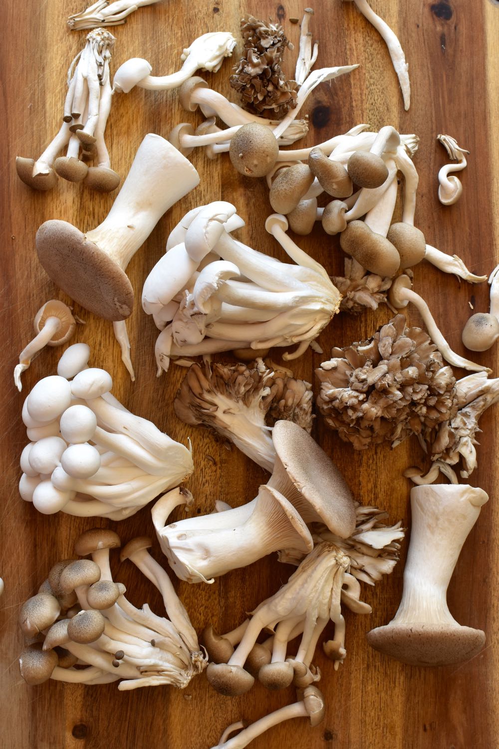 Wild mushrooms, Mama Ía blog